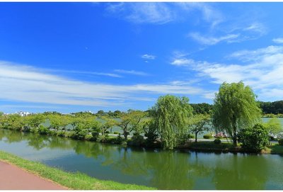 🏞️ 센바 공원